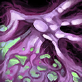 warlock